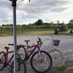 Soine Vineyards