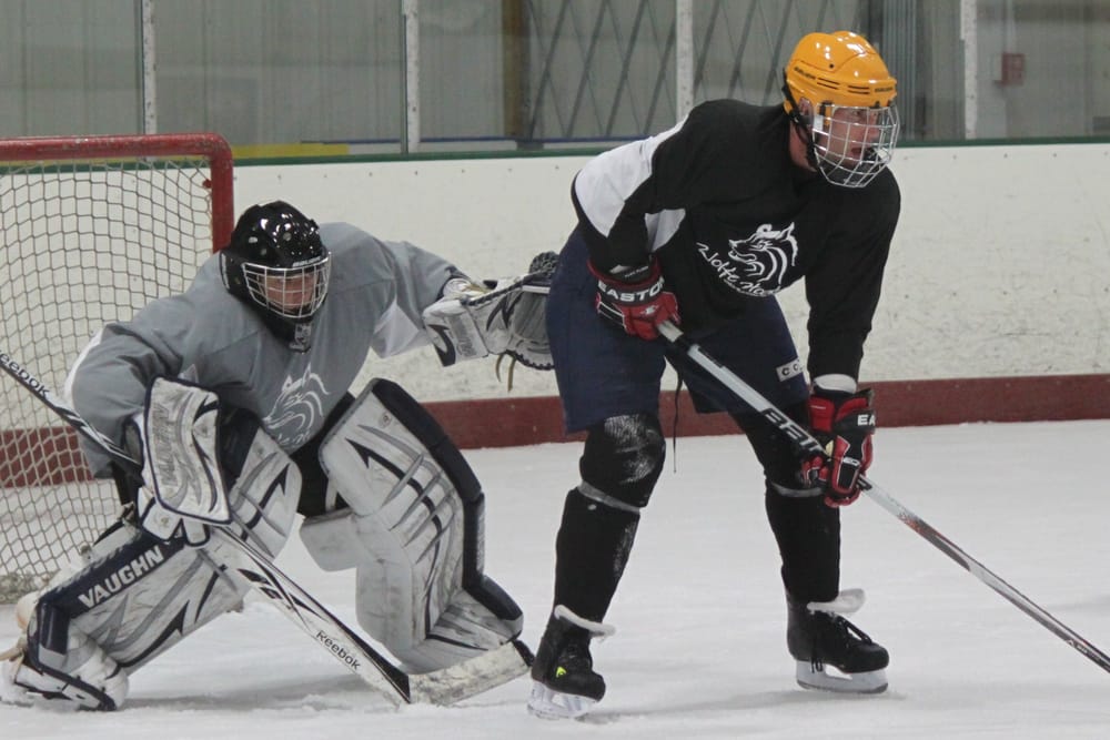 Wolfe Hockey Development Logo