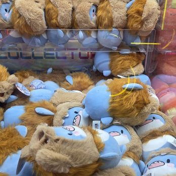Gatcha - Fat Shark ! - Kids Activities Near Me - Flushing, New York