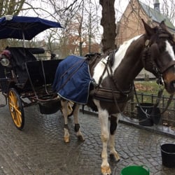 Sight-seeing Bruges in a Carriage