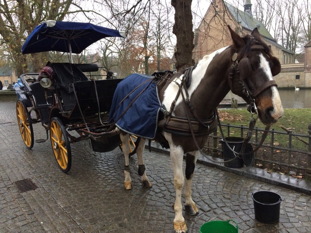 Sight-seeing Bruges in a Carriage
