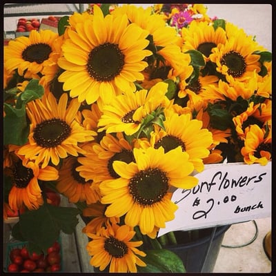 Toledo Farmers' Market by null