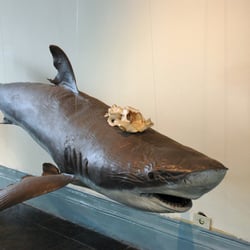 Museu de Pesca