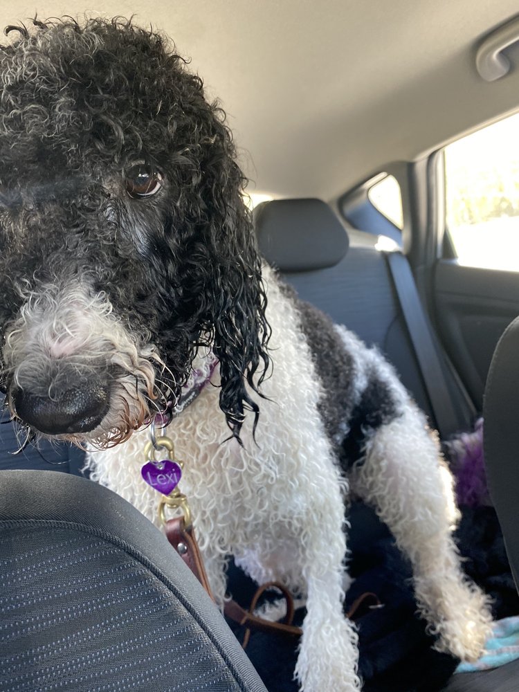 PETCO 19 Photos & 69 Reviews 6612 Richmond Hwy, Alexandria