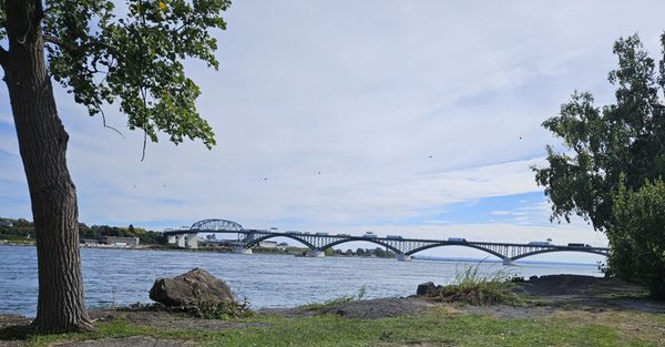 Peace Bridge by null