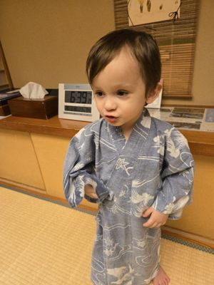 Nishiyama Onsen Keiunkan by null