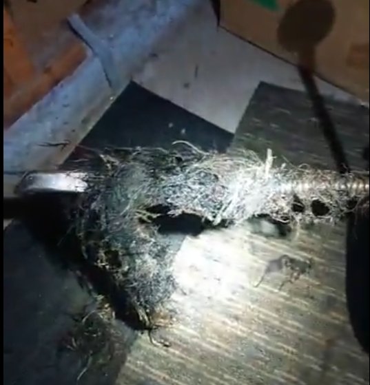 Slide of Marathon Drain Cleaning