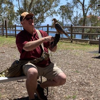 Catalina Falconry Experience - Dave and Tess, who was raised with her parents, so you can't pet her. - Active Life Near Me - Avalon, California Catalina Falconry Experience - Dave and Tess, who was raised with her parents, so you can't pet her. - Active Life Near Me - Avalon, California