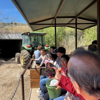 Three Nunns Farm - Tractor ride under the highway to the orchards - Pumpkin Patches Near Me - Brentwood, California Three Nunns Farm - Tractor ride under the highway to the orchards - Pumpkin Patches Near Me - Brentwood, California