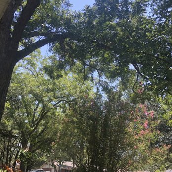 Treehugger Tree Service - Pecan tree trimmed away from the roof and balanced to give Red Oak space - Tree Services Near Me - Arlington, Texas Treehugger Tree Service - Pecan tree trimmed away from the roof and balanced to give Red Oak space - Tree Services Near Me - Arlington, Texas