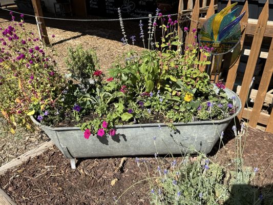 The Farm at South Mountain by null