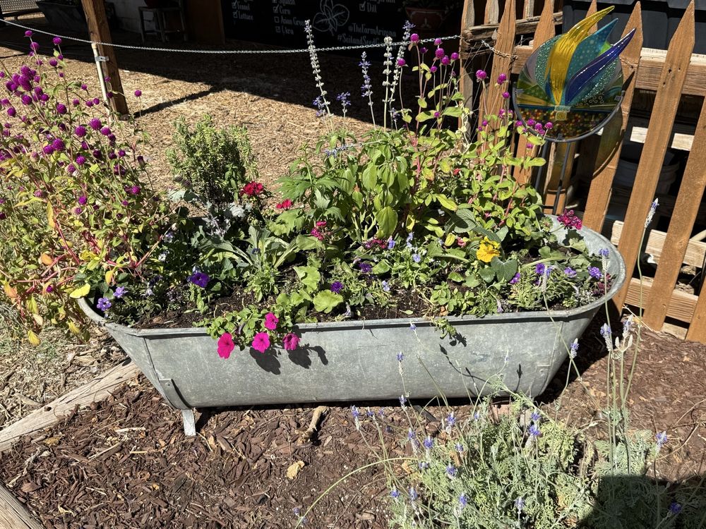 Social spots from The Farm At South Mountain