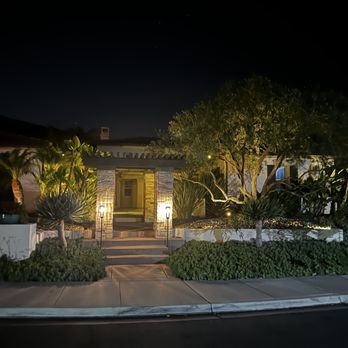 Holly Oak Arbor Care - After trimming palms, paradise and olive tree - Tree Services Near Me Holly Oak Arbor Care - After trimming palms, paradise and olive tree - Tree Services Near Me