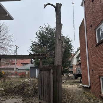 Dudley's Dew-Right Tree & Mulch - Tree Services Near Me - Lincoln, Nebraska Dudley's Dew-Right Tree & Mulch - Tree Services Near Me - Lincoln, Nebraska