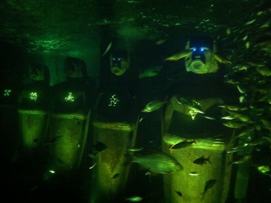 Grand Aquarium Saint Malo by null