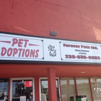Forever Pets - No Kill Animal Shelter - Animal Shelters Near Me - North Fort Myers, Florida Forever Pets - No Kill Animal Shelter - Animal Shelters Near Me - North Fort Myers, Florida