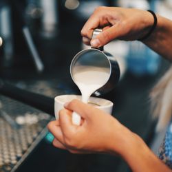 Land and Water Coffee