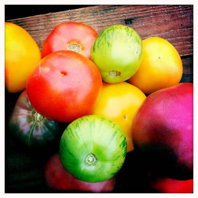 Blue Moon Acres Buckingham, PA by null