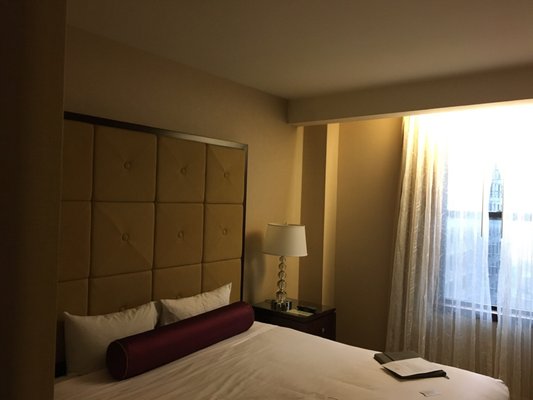 Millennium Hotel Knickerbocker Chicago by null