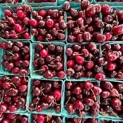 Michigan Local Harvest - Fresh, Michigan Cherries