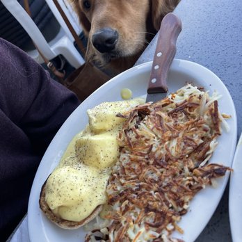 Cappys Cafe - Eggs Benedict - Breakfast & Brunch Near Me - Newport Beach, California