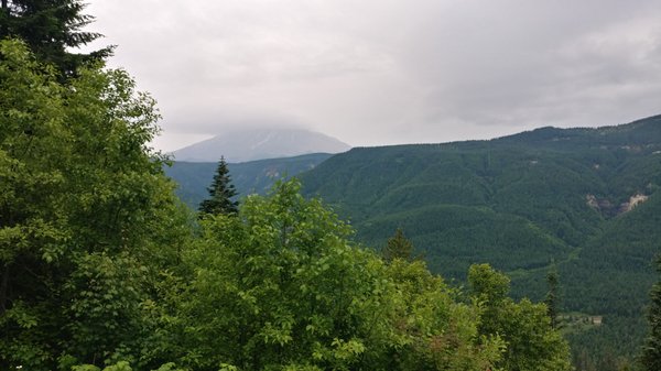 Gifford Pinchot National Forest by null