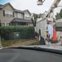 Photo of Charles and son's tree service and lanscaping