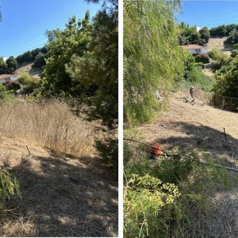 Manuel & Sons - Hillside cleaning - Tree Services Near Me Manuel & Sons - Hillside cleaning - Tree Services Near Me