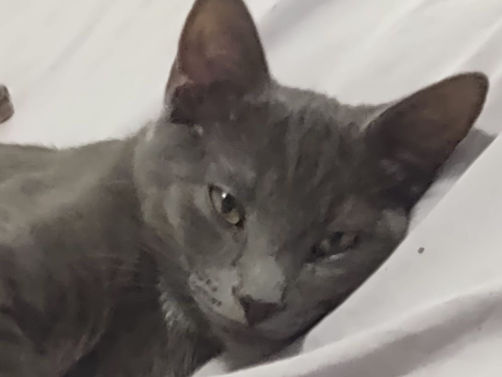 Kentucky Health and Wellness - grief counselor in Owensboro, KY