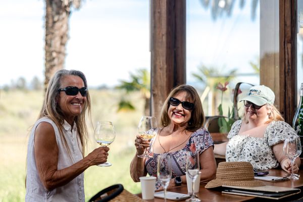 Iron Horse Vineyards by null