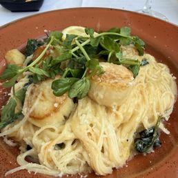 Scallops Scallops