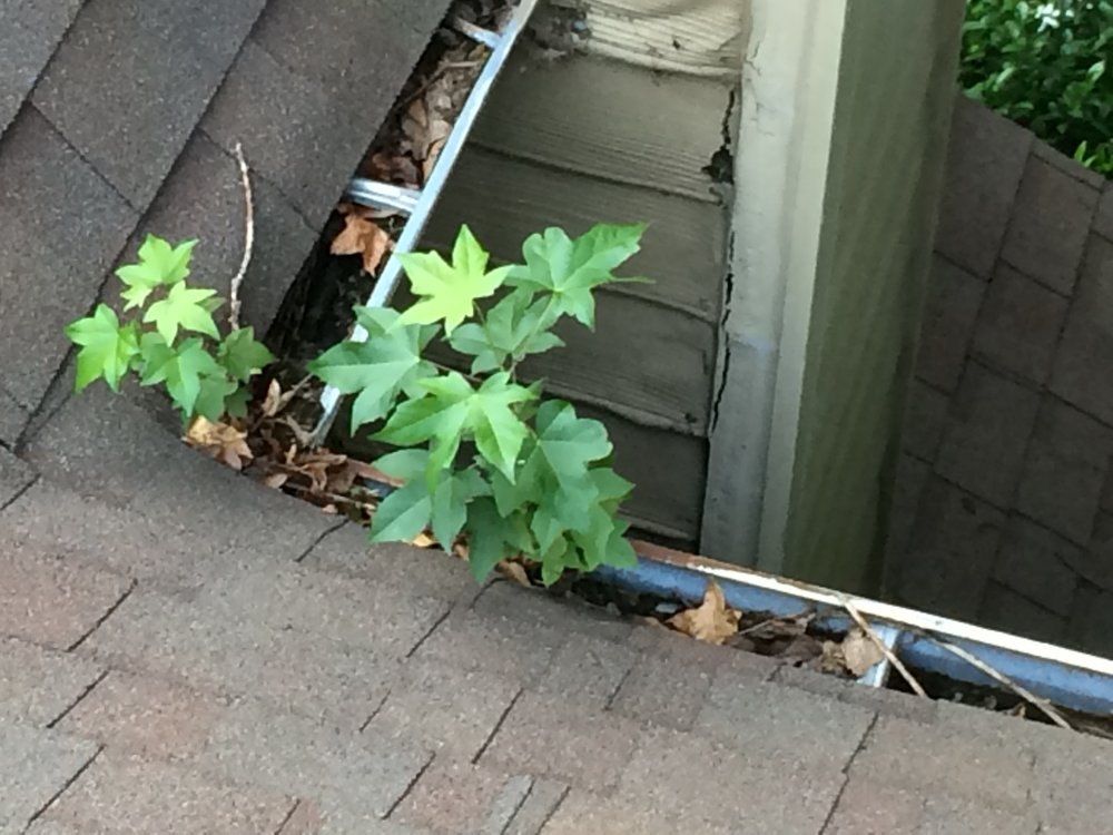 Slide of Southern Gutters