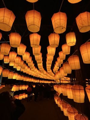 Koka Booth Amphitheatre by null