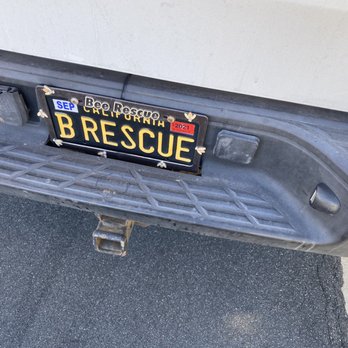 Bee Rescue - Pest Control Near Me