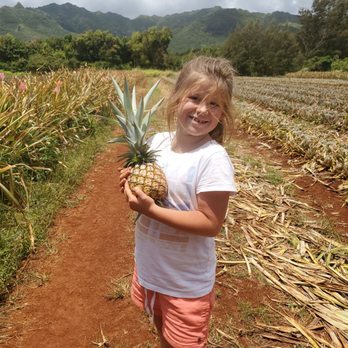 Kauai sugarloaf pineapple - Farmers Market Near Me