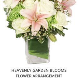 The Flower Pot - This is the arrangement that I gladly paid over $107;including taxes and service charges, for.