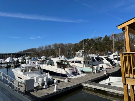 The Harbour Grille by null