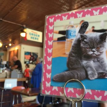 Biscuit Head - Get yo self a cat head - Bakeries Near Me - Asheville, North Carolina Biscuit Head - Get yo self a cat head - Bakeries Near Me - Asheville, North Carolina