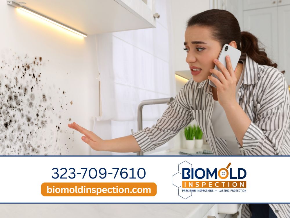 BioMold Inspection & Testing - mold inspector in Los Angeles, CA