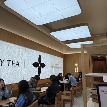 Molly Tea - Bubble Tea Near Me - Bellevue, Washington