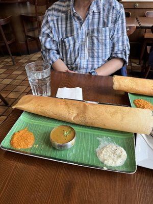 Davie Dosa Company by null