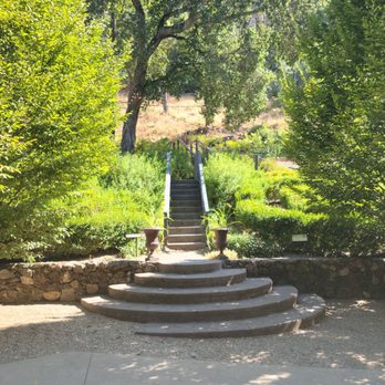 Destination Drivers Napa & Sonoma - Buena Vista Winery - Wine Tours Near Me Destination Drivers Napa & Sonoma - Buena Vista Winery - Wine Tours Near Me