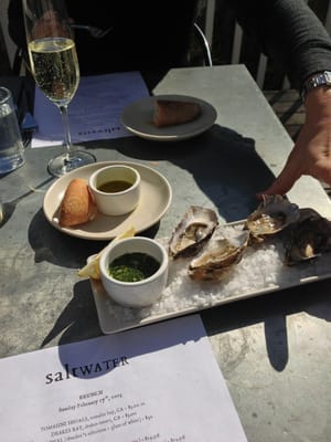 Saltwater Oyster Depot by null