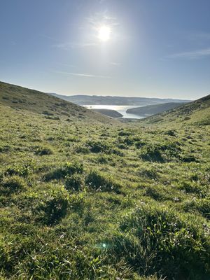 Tomales Point Trailhead by null