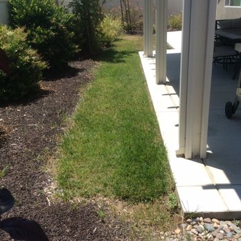 ProGreen Socal - Backyard grass before. - Artificial Turf Near Me - Murrieta, California