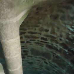 Chateau De Fougeres