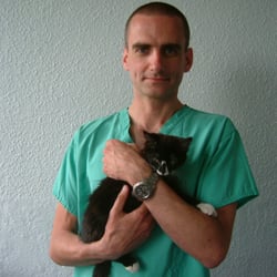 Medivet The Vets Greenwich