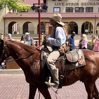 The Stockyards - Cattle drive - Local Flavor Near Me - Fort Worth, Texas The Stockyards - Cattle drive - Local Flavor Near Me - Fort Worth, Texas