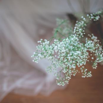 Ardensea - Event Photography Near Me - Vero Beach, Florida