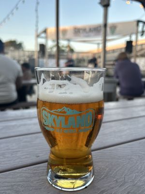 Skyland Ale Works by null